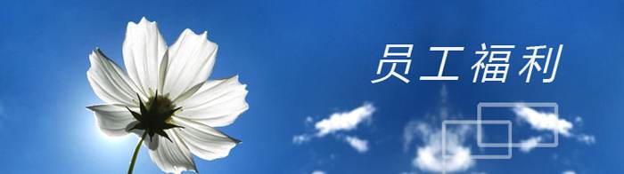 網(wǎng)站關(guān)鍵詞 網(wǎng)站關(guān)鍵詞