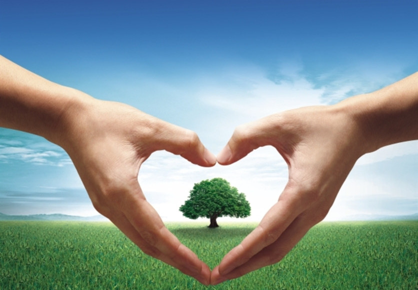 山東興源機械有限公司官網|起重機|行車|山東興源機械|單梁起重機|電動葫蘆|起重配件|www.jiahehouse.cn|xyqzj|xyqzj.com|興源起重機|興源|起重機行車|起重設備|起重機械